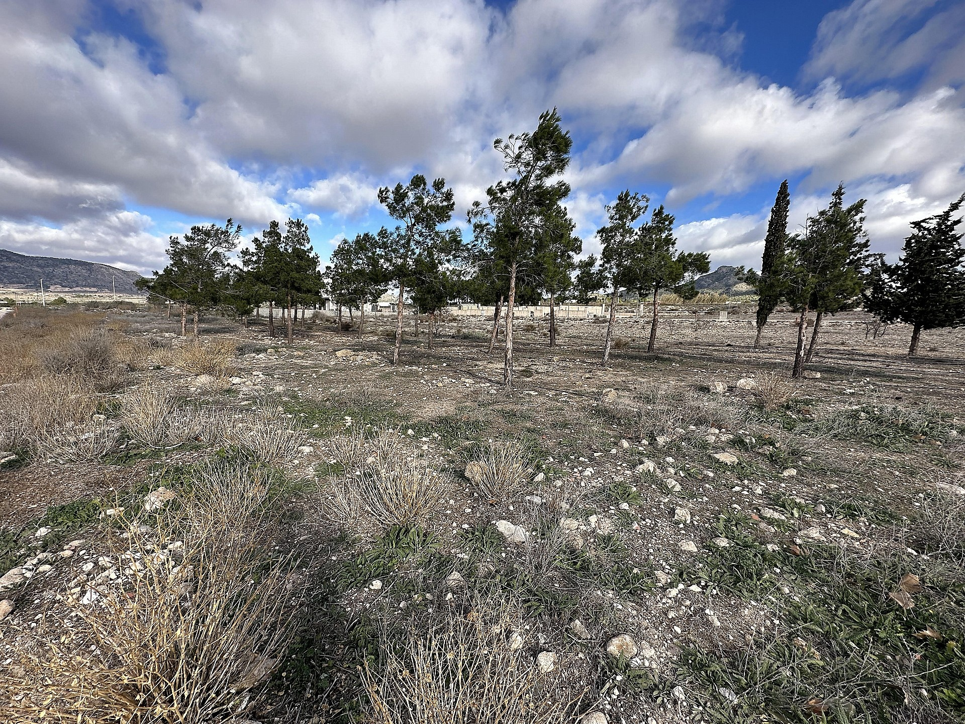 Land In Salinas, Spain (180 M²)