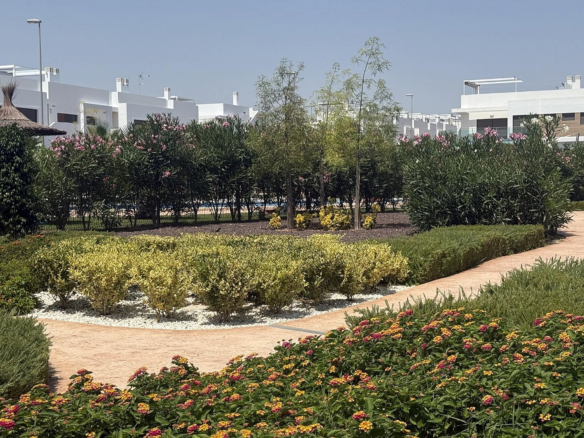 2-bedroom Apartment In Los Montesinos, Spain (180 M²)