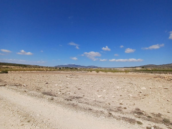 Land In Pinoso, Spain (13.836 M² Plot)