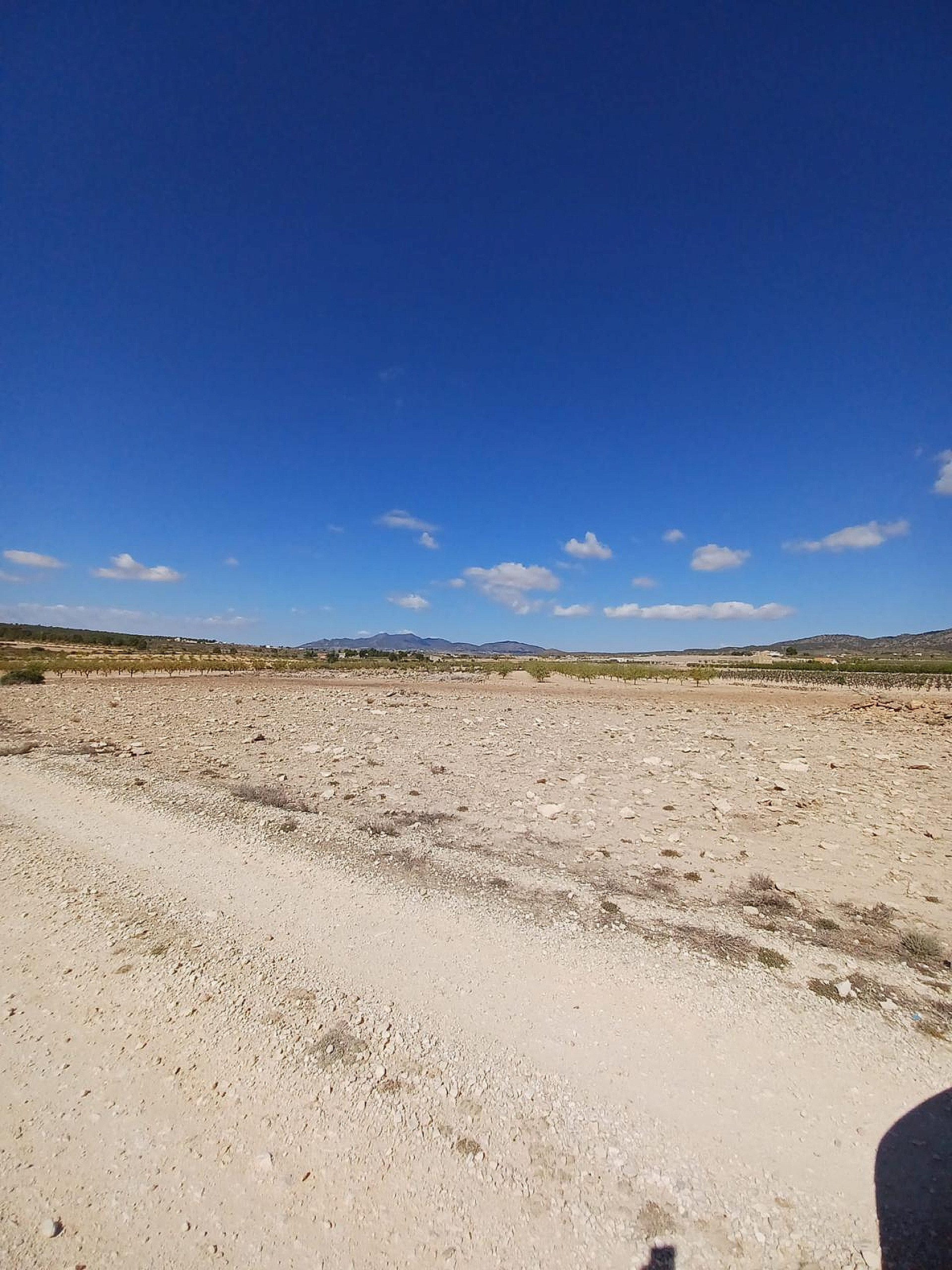w_ez8gyxmf6h4q65phyfyq-5efe76 Land In Pinoso, Spain (13.836 M² Plot)