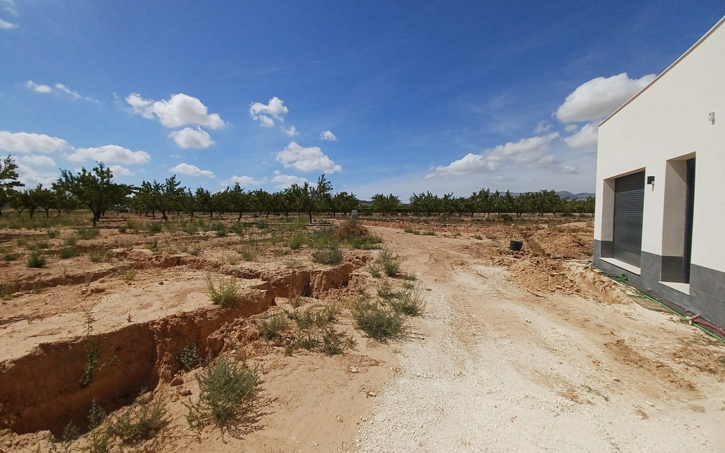 1-bedroom Detached Villa In Pinoso, Spain (26.500 M² Plot)