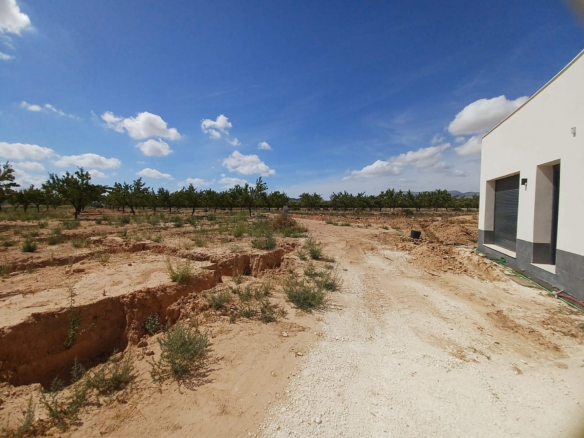 1-bedroom Detached Villa In Pinoso, Spain (26.500 M² Plot)