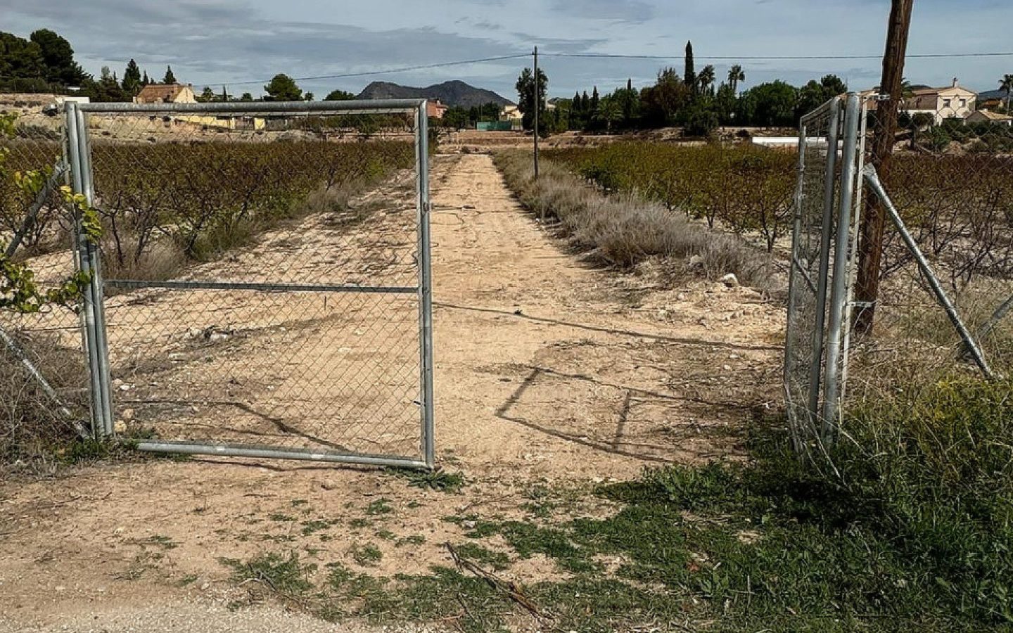 Land In Monovar, Spain (25.000 M² Plot)