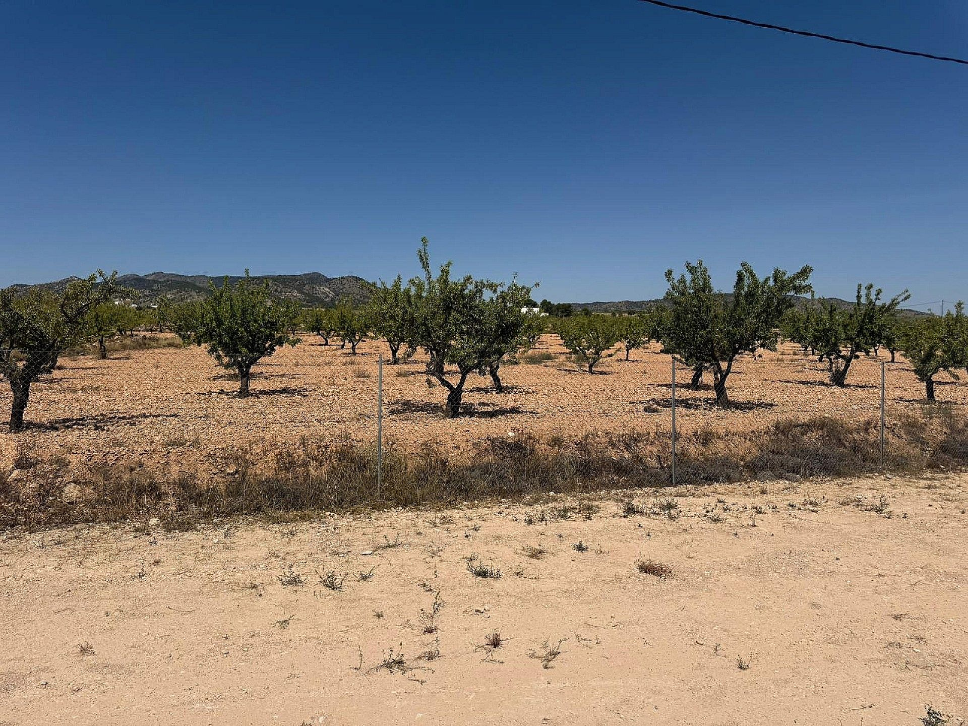 w_g_6t6g0w0sgusfji6jxhi0-b24b4d 3-bedroom Detached Villa In Pinoso, Spain (153 M²)