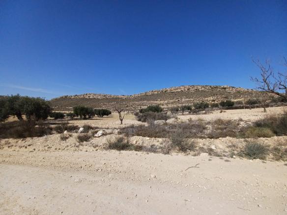 Land In Pinoso, Spain (27.000 M² Plot)