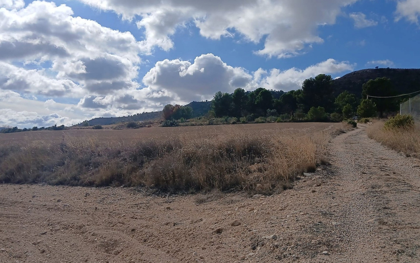 Land In Yecla, Spain (110.312 M² Plot)