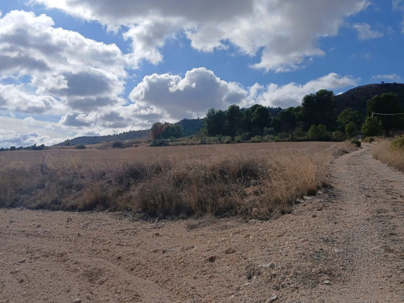 Land In Yecla, Spain (110.312 M² Plot)