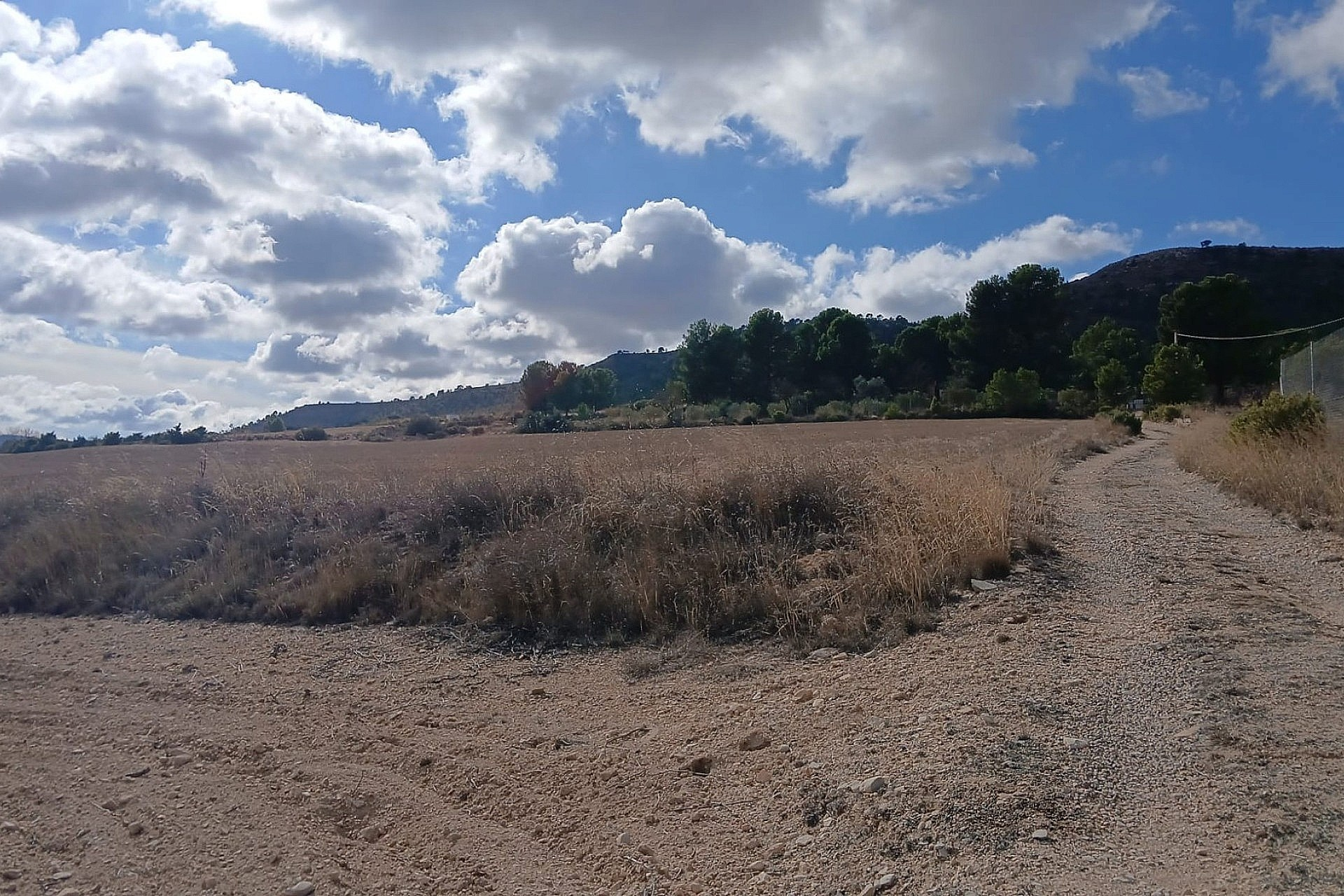 w_i3wsj6umxxgdajot3jto-b9197d Land In Yecla, Spain (110.312 M² Plot)