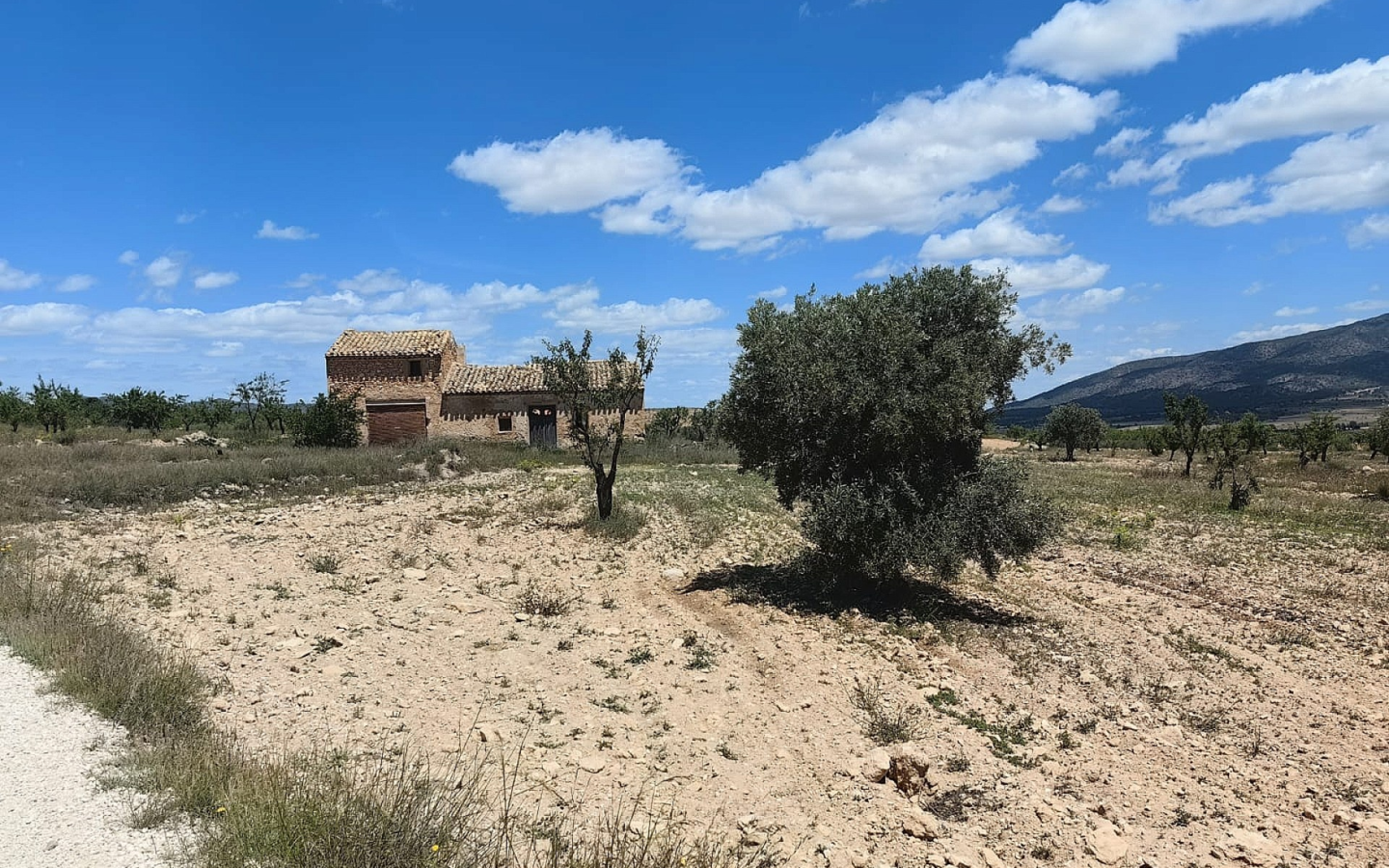 Land In Pinoso, Spain (10.000 M² Plot)