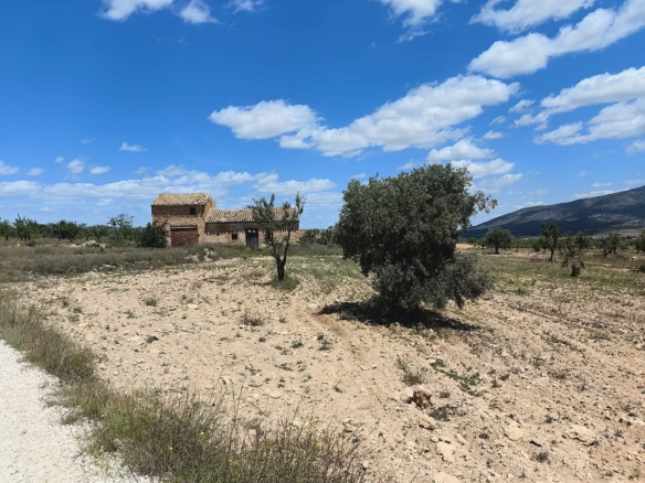 Land In Pinoso, Spain (10.000 M² Plot)