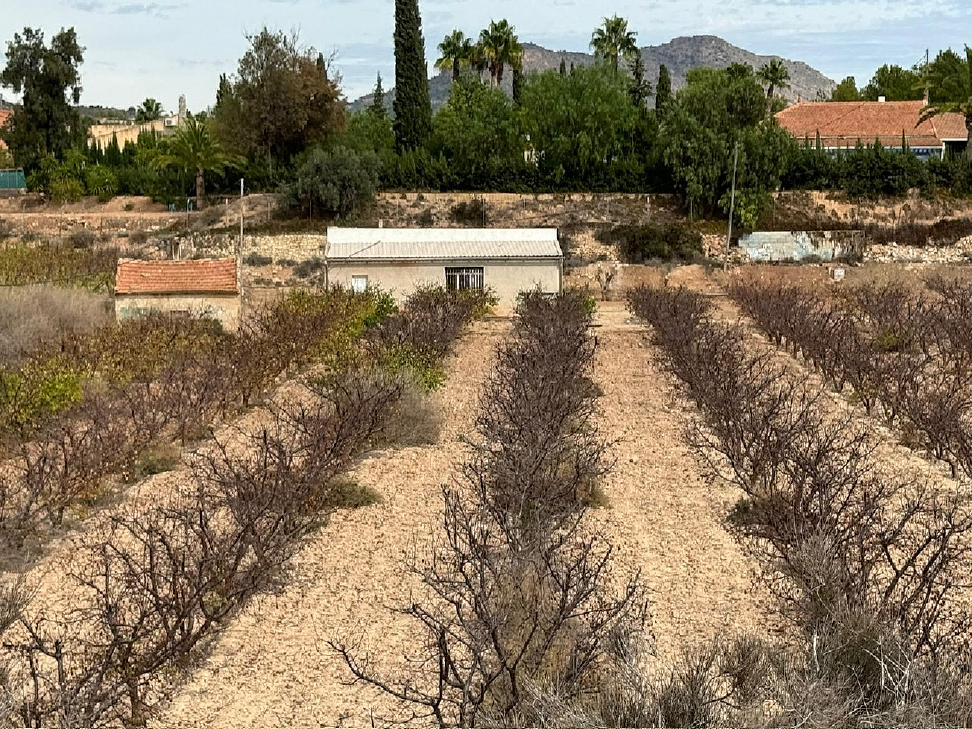 w_icrazqsiyeyzoewzxye0-8d1137 Land In Monovar, Spain (25.000 M² Plot)