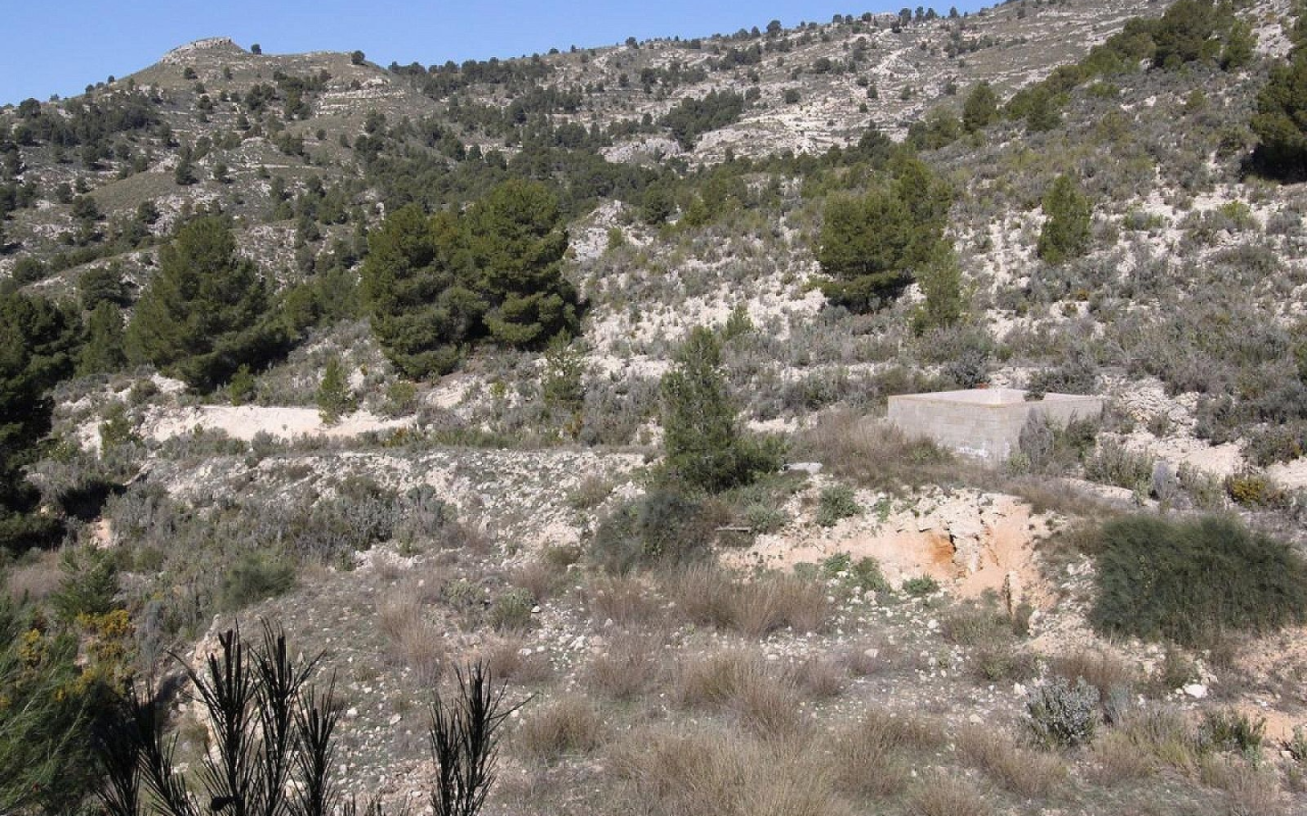 3-bedroom Detached Villa In Petrer, Spain (120 M²)