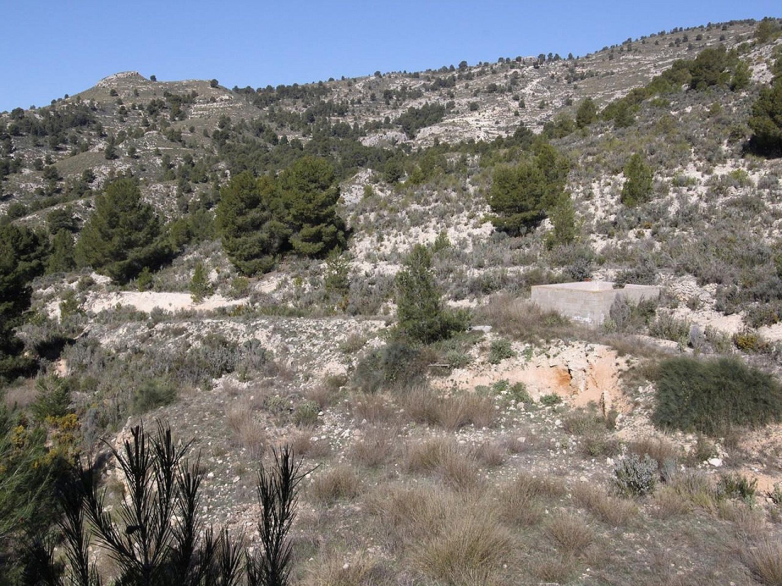 3-bedroom Detached Villa In Petrer, Spain (120 M²)