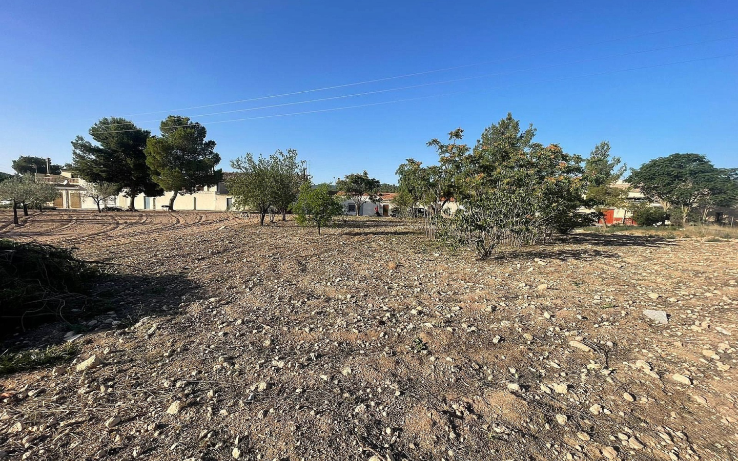Land In Pinoso, Spain (1.160 M² Plot)