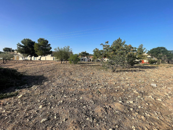 Land In Pinoso, Spain (1.160 M² Plot)
