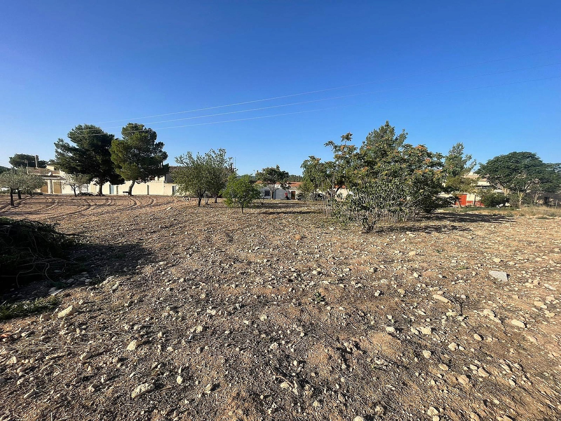 Land In Pinoso, Spain (1.160 M² Plot)