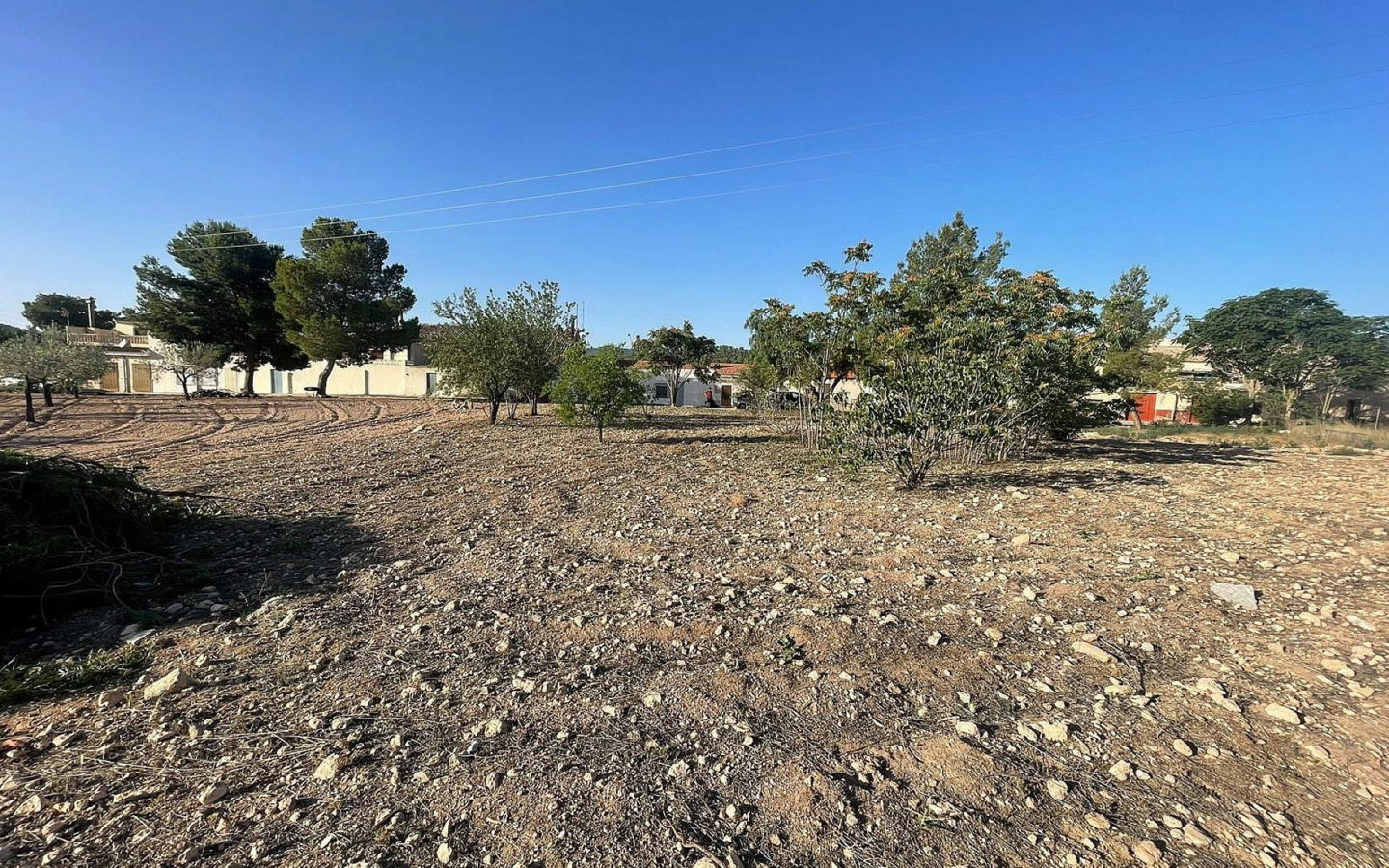 Land In Pinoso, Spain (1.160 M² Plot)