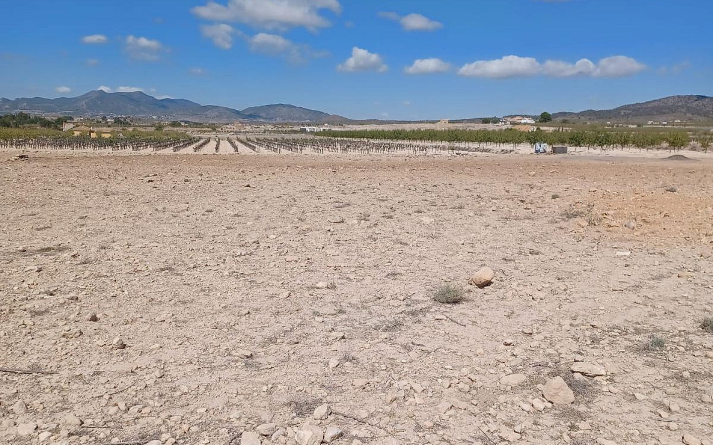 Land In Pinoso, Spain (13.836 M² Plot)