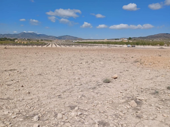 Land In Pinoso, Spain (13.836 M² Plot)