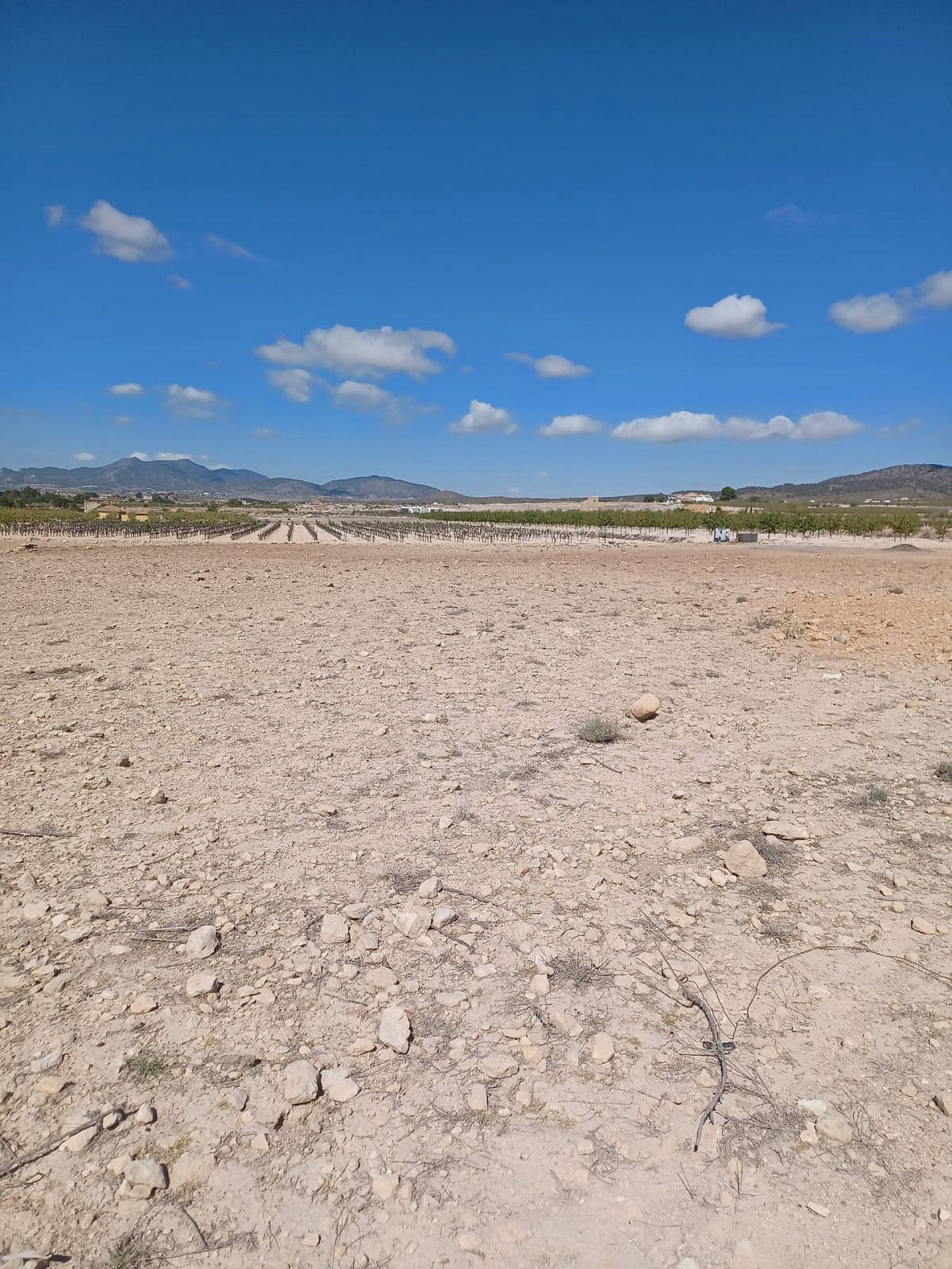 w_itn6e8mvjf0q3d3zh3es-3fd253 Land In Pinoso, Spain (13.836 M² Plot)
