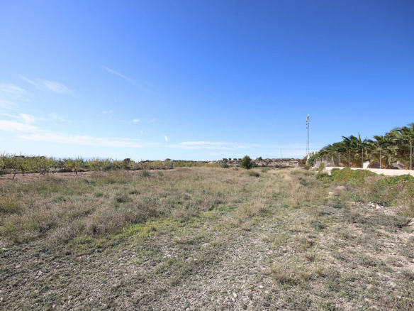 Land In Macisvenda, Spain (5.871 M² Plot)