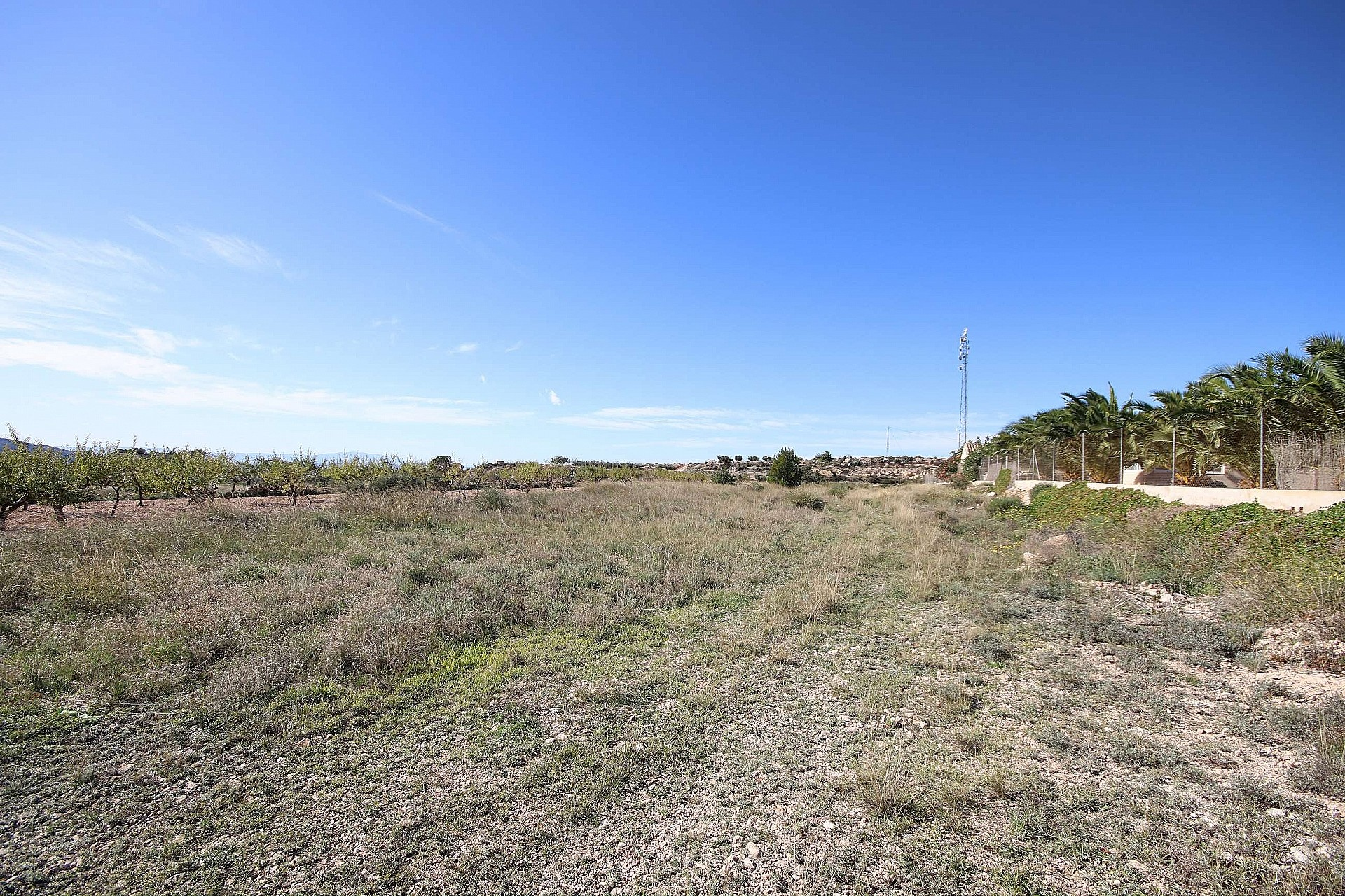Land In Macisvenda, Spain (5.871 M² Plot)
