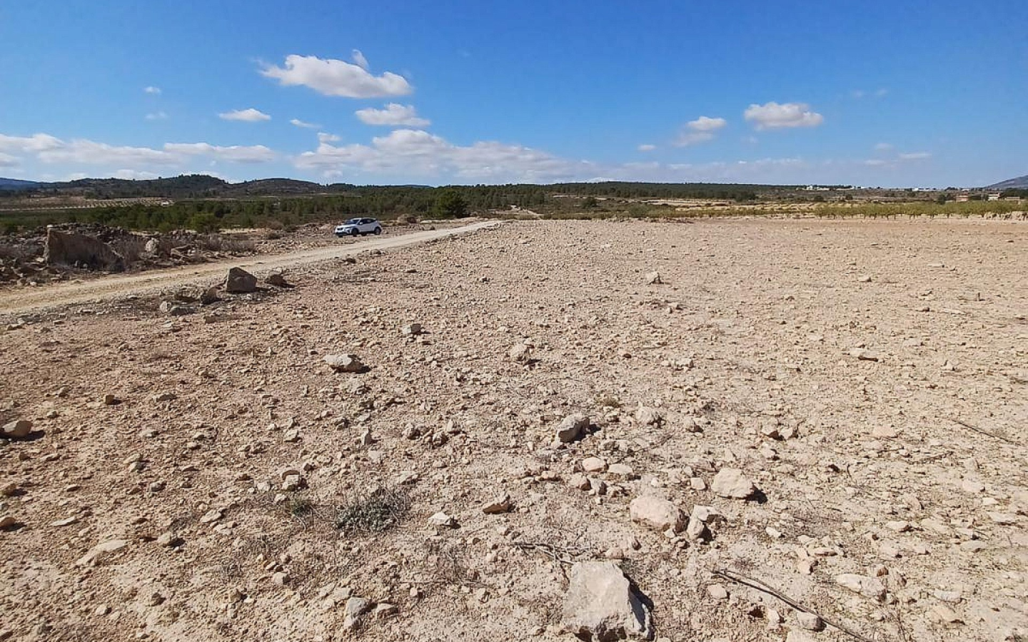Land In Pinoso, Spain (13.836 M² Plot)