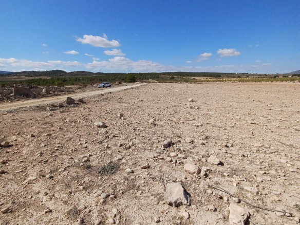 Land In Pinoso, Spain (13.836 M² Plot)