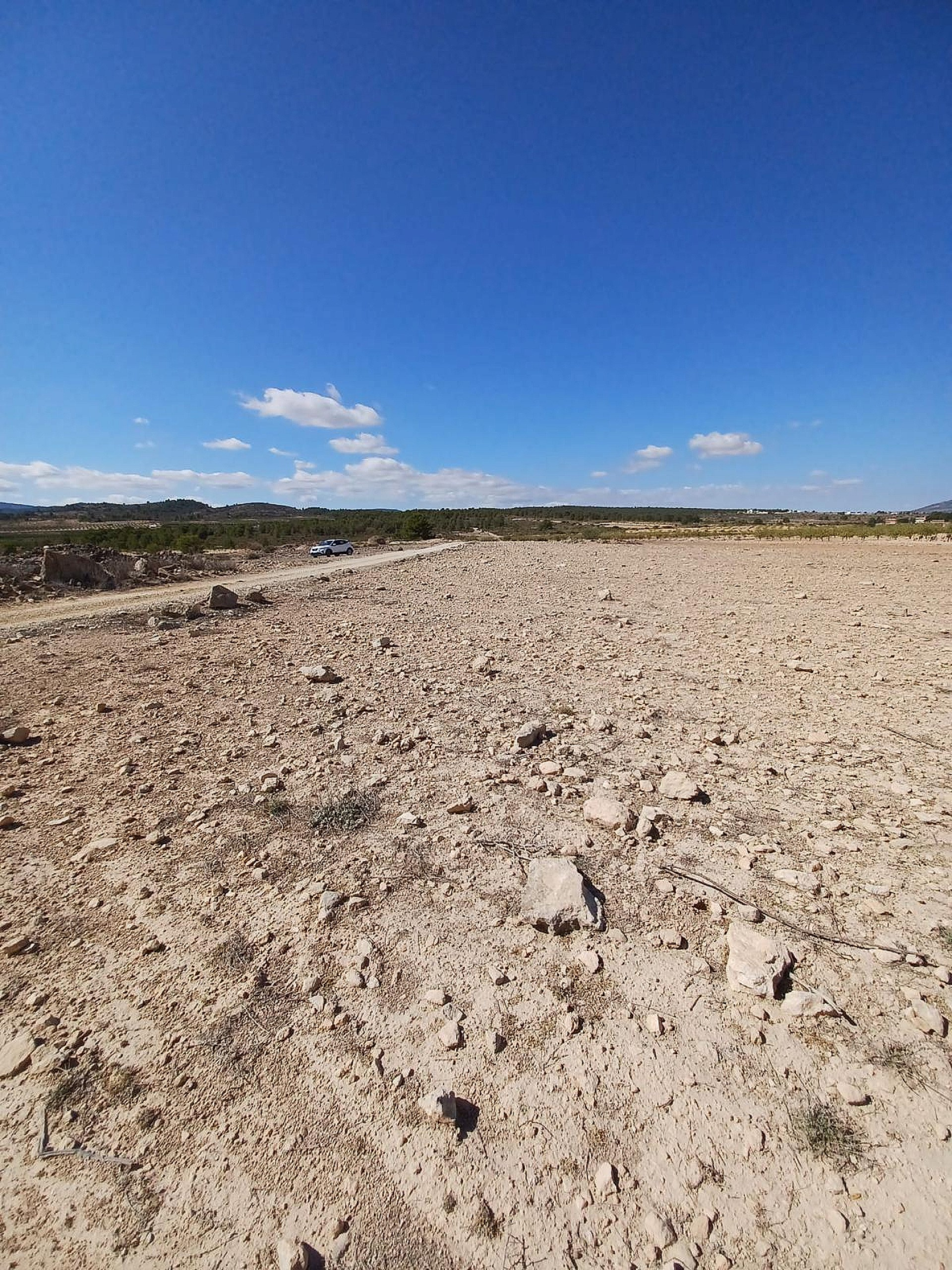 w_iwjvu4dqkqeesd3aqbho-4f29ef Land In Pinoso, Spain (13.836 M² Plot)