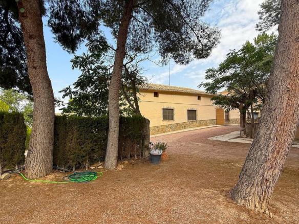 12-bedroom Country House In Pinoso, Spain (600 M²)