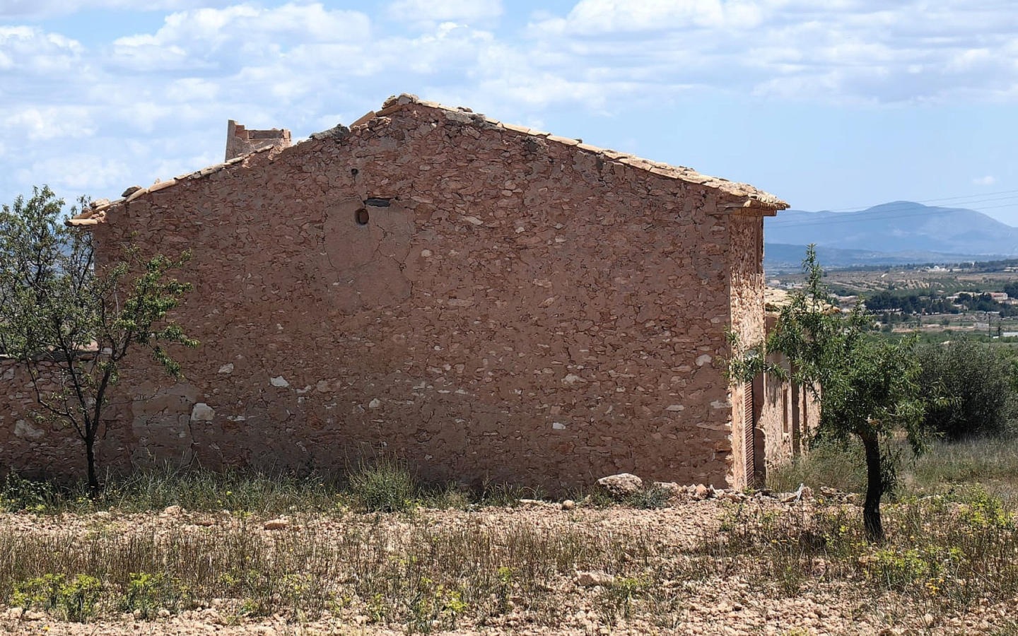 Land In Pinoso, Spain (10.000 M² Plot)