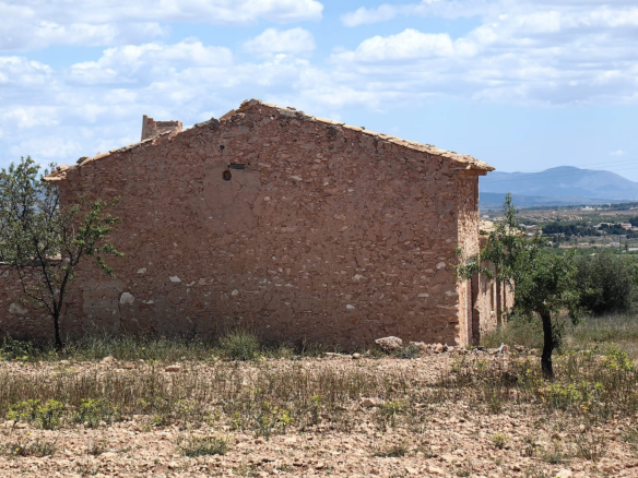 Land In Pinoso, Spain (10.000 M² Plot)