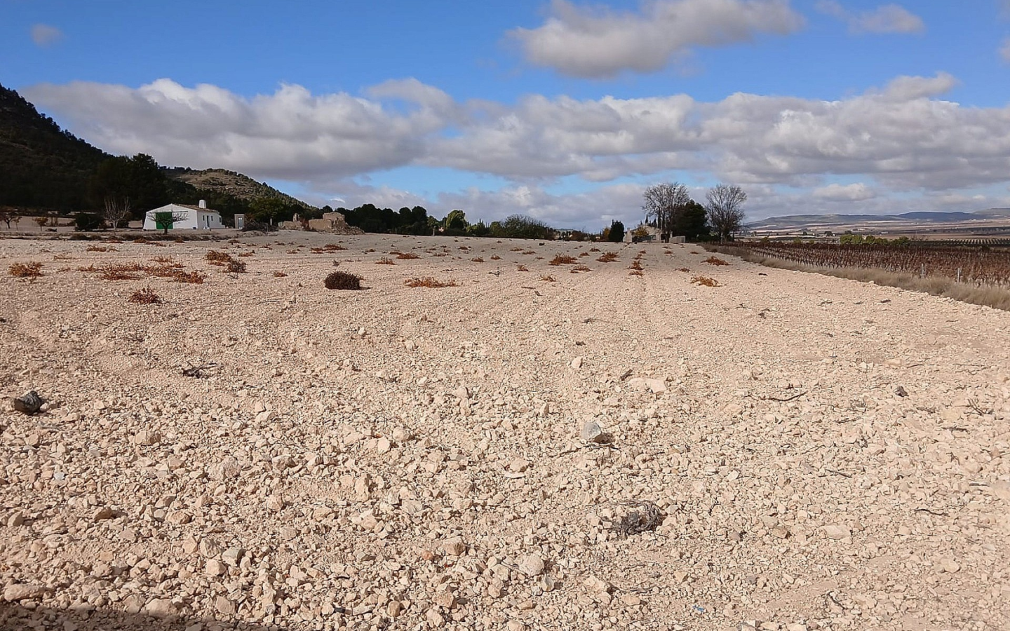 Land In Yecla, Spain (110.312 M² Plot)