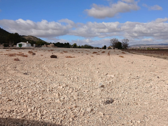 Land In Yecla, Spain (110.312 M² Plot)