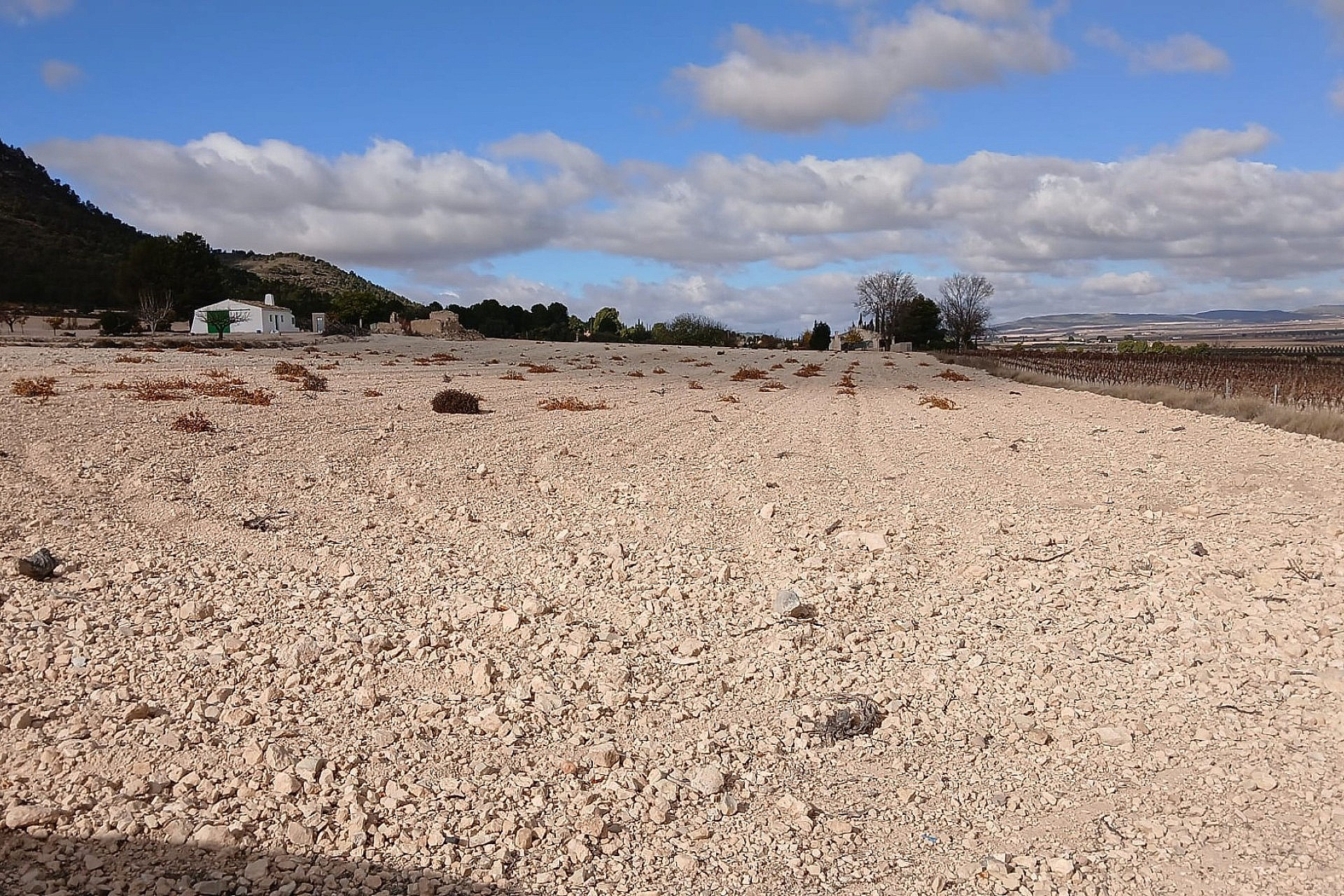 w_j74uhjyzr4iqtgreu2x0-a28f75 Land In Yecla, Spain (110.312 M² Plot)