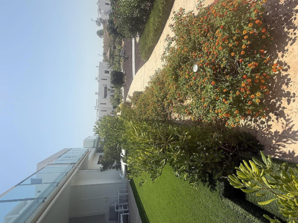 2-bedroom Apartment In Los Montesinos, Spain (180 M²)