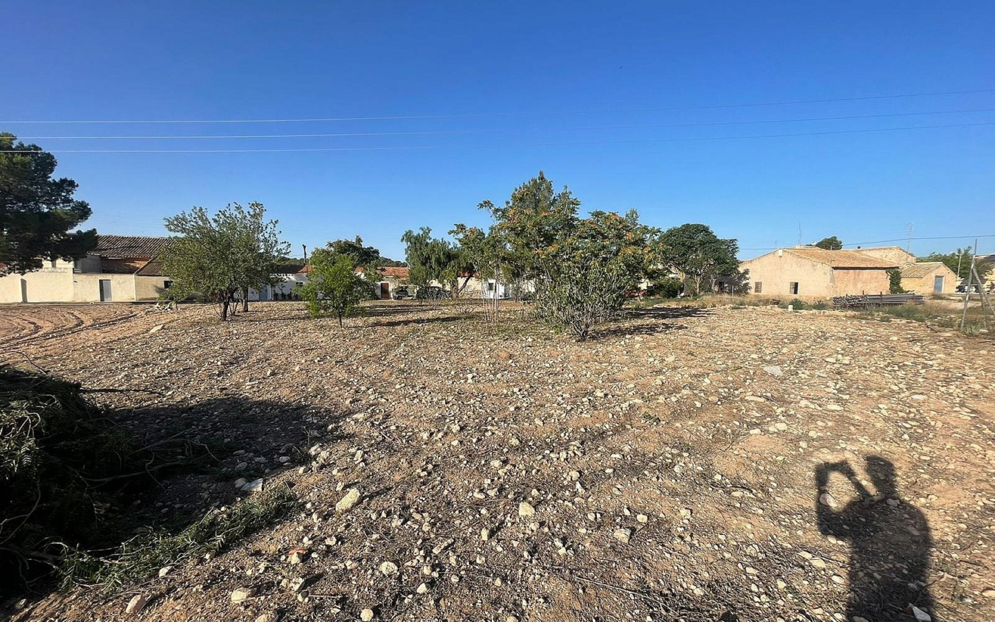 Land In Pinoso, Spain (1.160 M² Plot)
