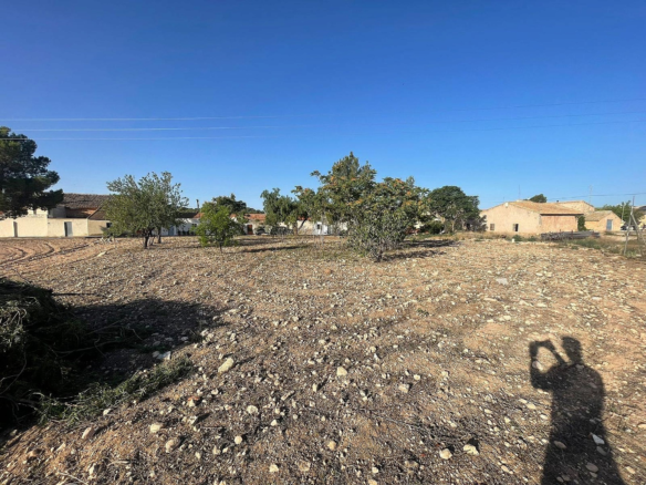 Land In Pinoso, Spain (1.160 M² Plot)