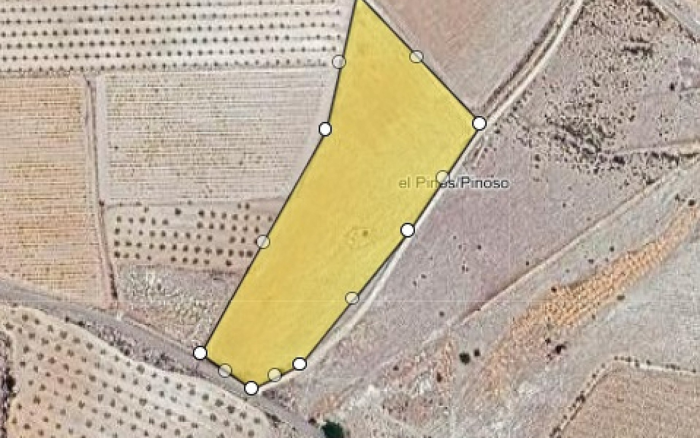 Land In Pinoso, Spain (13.836 M² Plot)