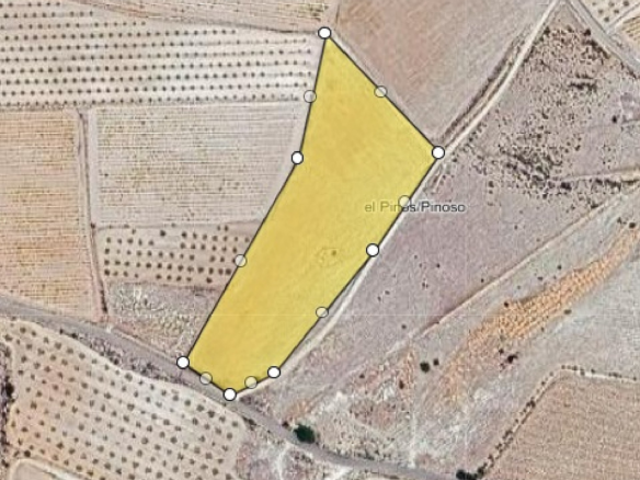Land In Pinoso, Spain (13.836 M² Plot)