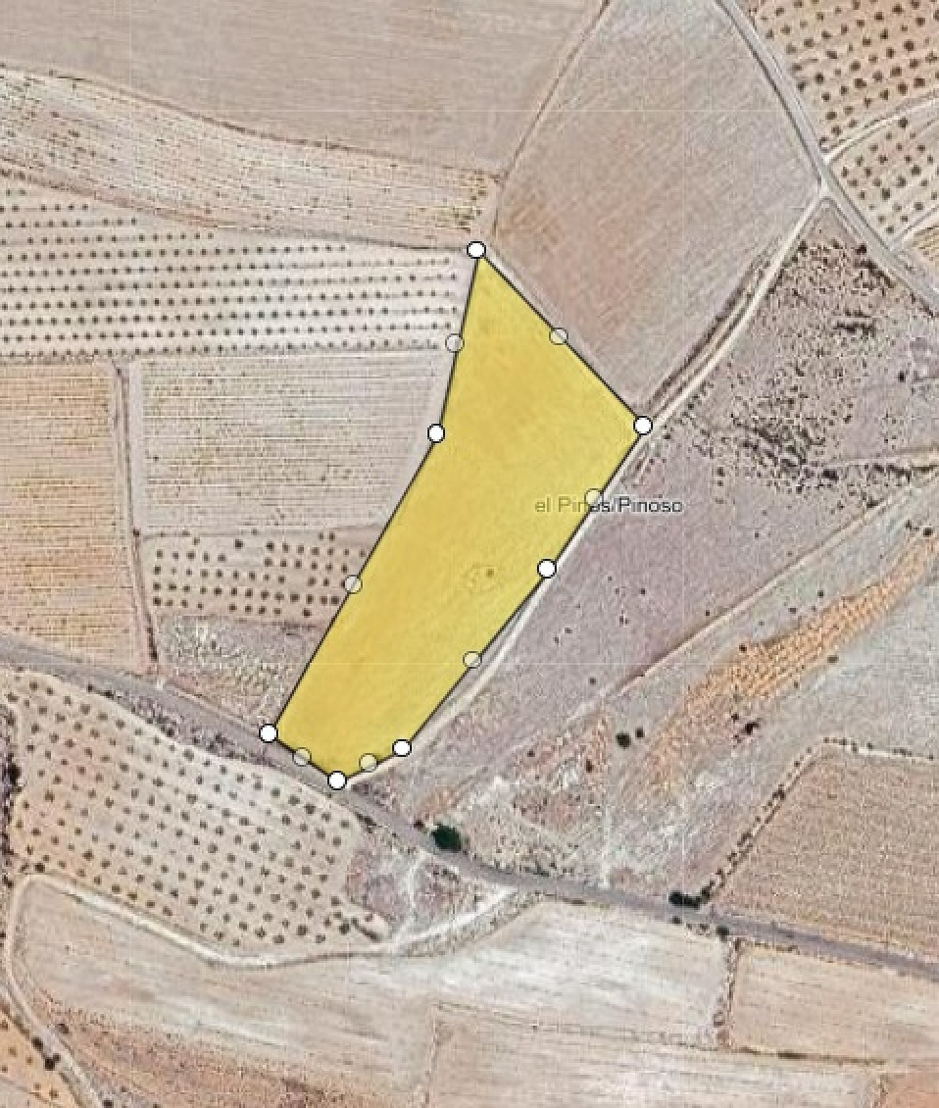 w_kv0ca75jh2263k5whs8g-df399d Land In Pinoso, Spain (13.836 M² Plot)