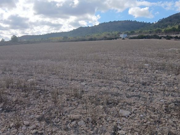 Land In Yecla, Spain (110.312 M² Plot)