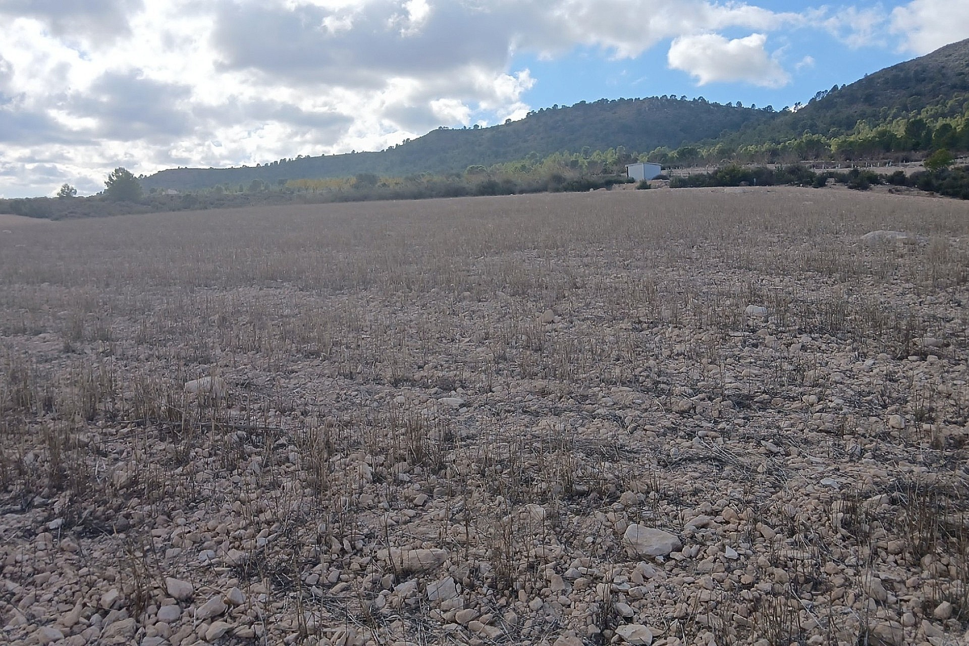 w_mdd2ymce4ar5iropobg4-2a1f64 Land In Yecla, Spain (110.312 M² Plot)