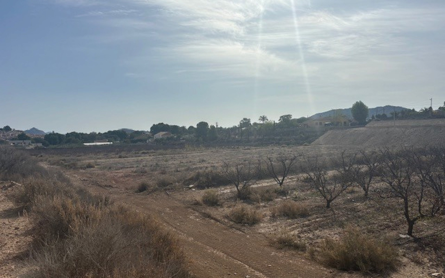 Land In Monovar, Spain (11.000 M² Plot)