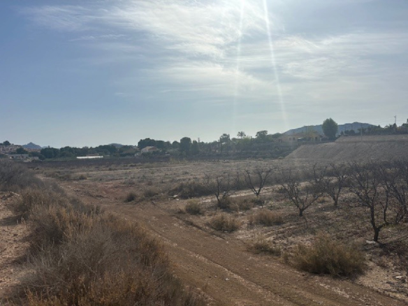 Land In Monovar, Spain (11.000 M² Plot)