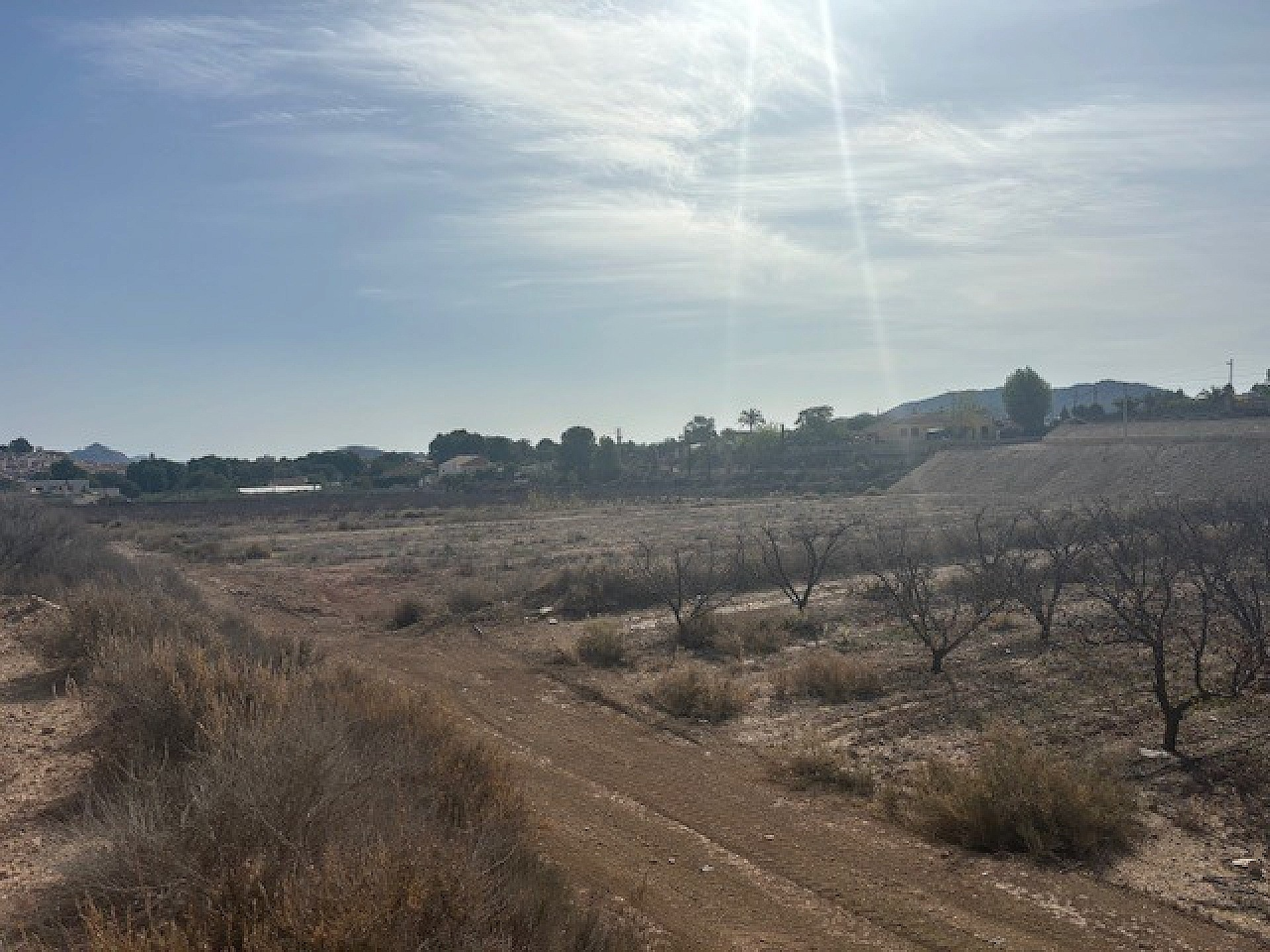 Land In Monovar, Spain (11.000 M² Plot)