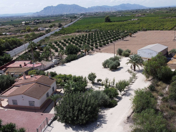 3-bedroom Detached Villa In Crevillente, Spain (250 M²)