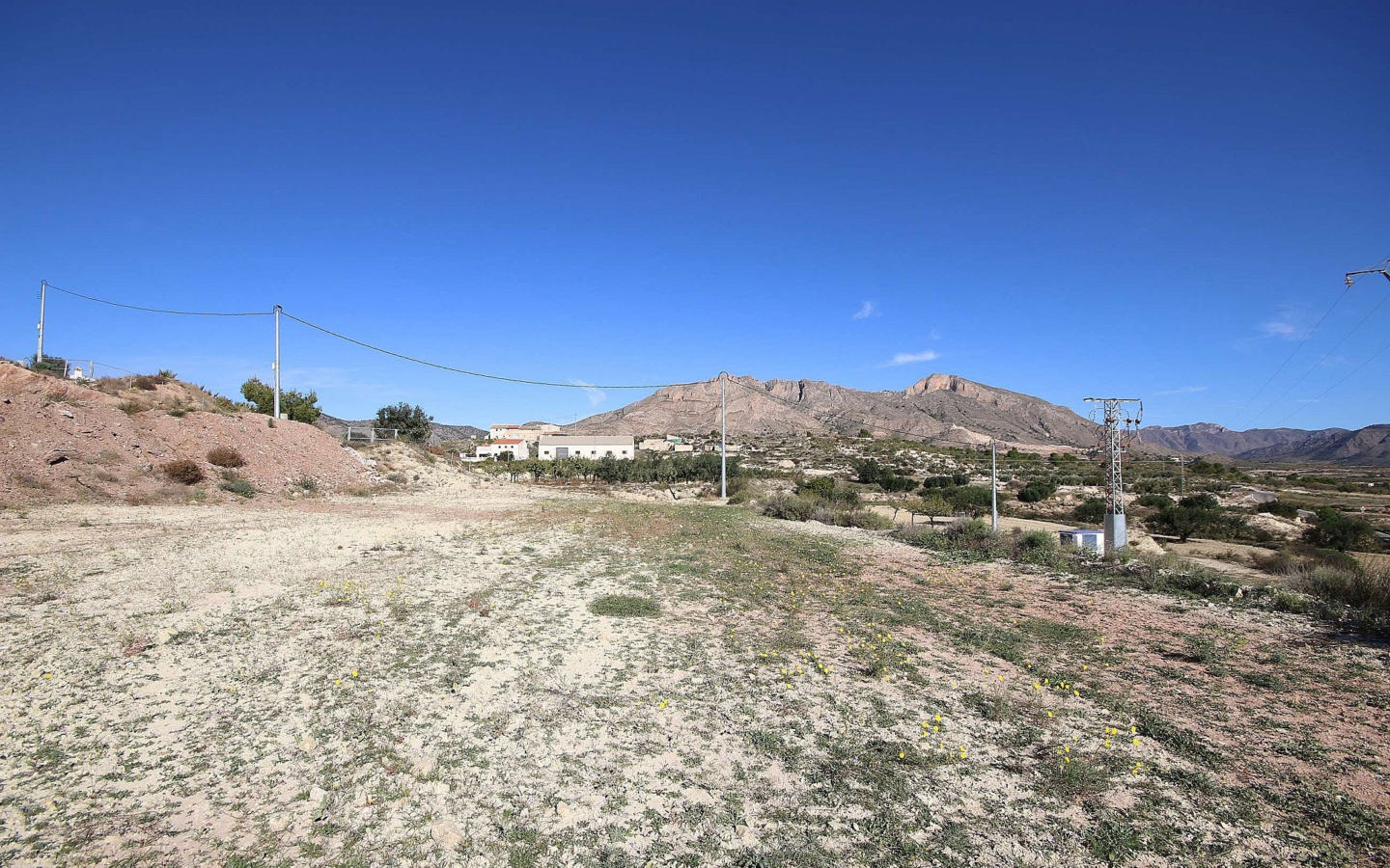 Land In Abanilla, Spain (8.000 M² Plot)