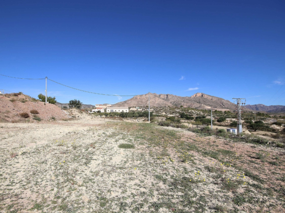 Land In Abanilla, Spain (8.000 M² Plot)