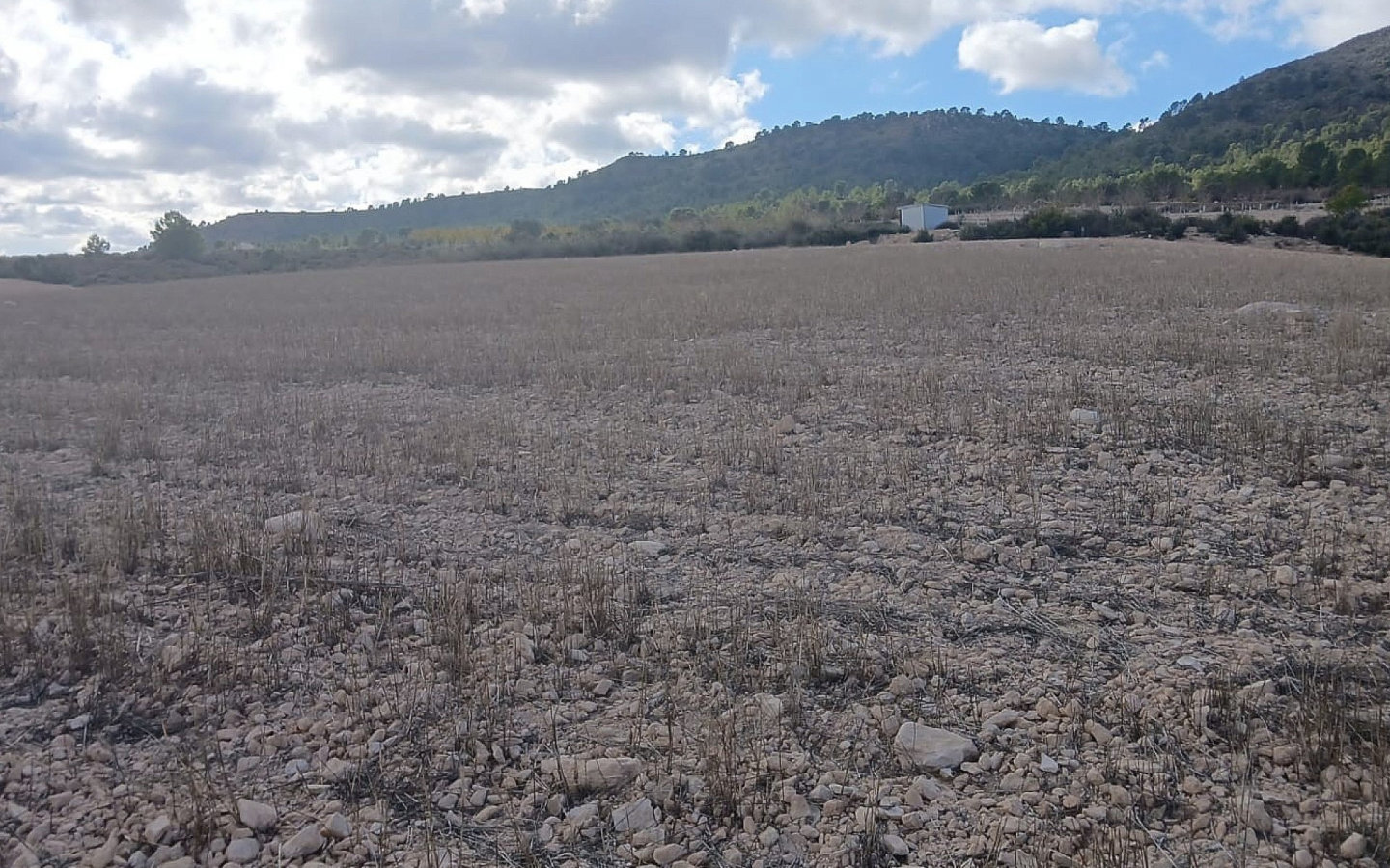 Land In Yecla, Spain (110.312 M² Plot)